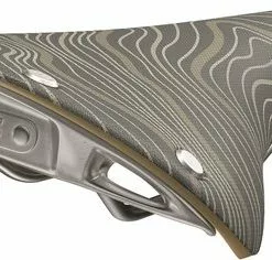 Brooks Zadel C17 Cambium Special Lab