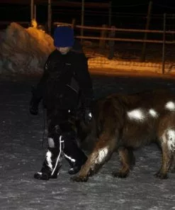 Blanco Albedo 100 Reflective Spray Light Metallic 200 Ml -Fietsen-accessoires Verkoopwinkel 550x366 27