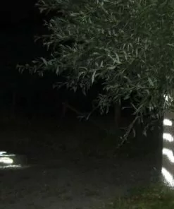 Blanco Albedo 100 Reflective Spray Light Metallic 200 Ml -Fietsen-accessoires Verkoopwinkel 550x412 3