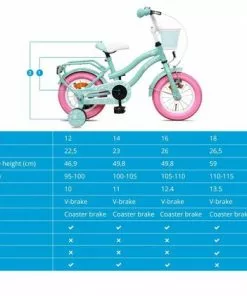 Amigo Lovely Meisjesfiets - Kinderfiets 12 Inch - Turquoise -Fietsen-accessoires Verkoopwinkel 550x421 7